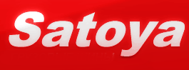 Шины от Satoya