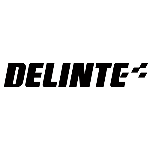 Шины от Delinte