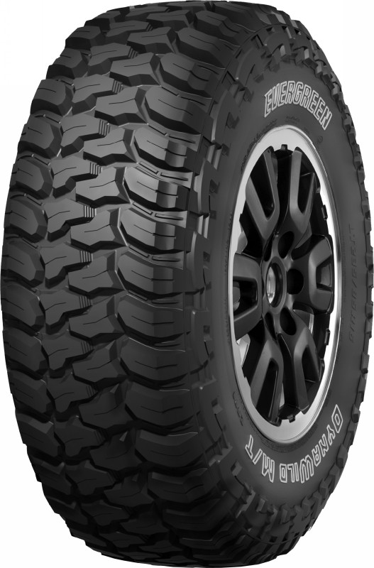Летние шины Evergreen Dynawild ES91 265/75 R16 116Q в Москве от 14260  руб.