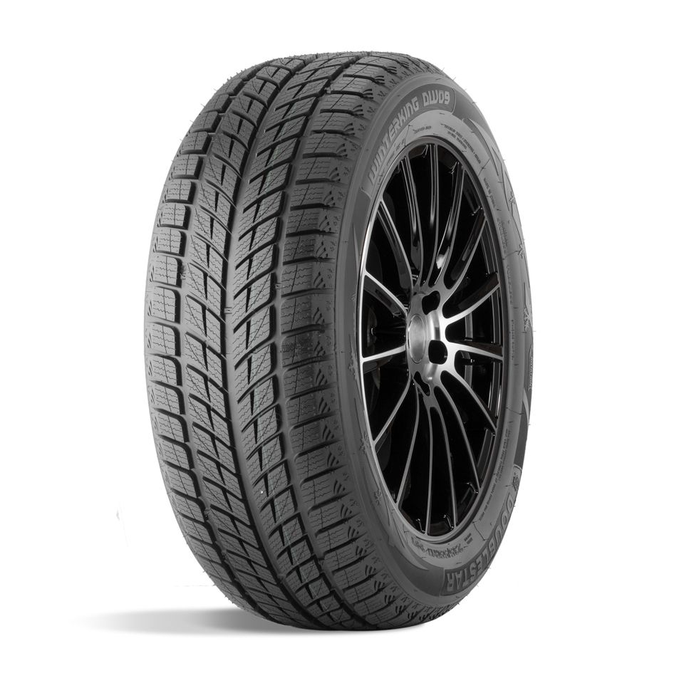 Зимние шины DoubleStar DW09 215/55 R18 95H в Москве от 6366  руб.