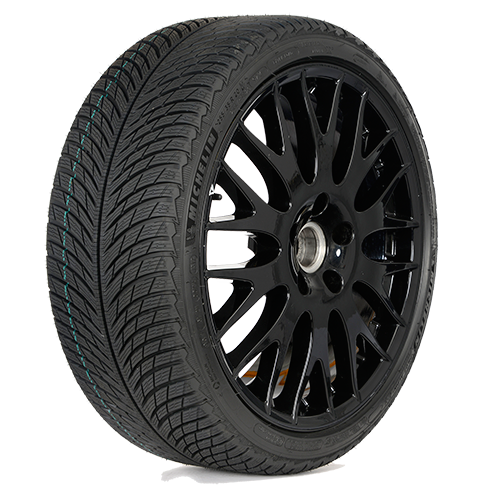 Зимние шины Michelin Pilot Alpin 5 305/30 R21 104V XL в Москве от 97830  руб.