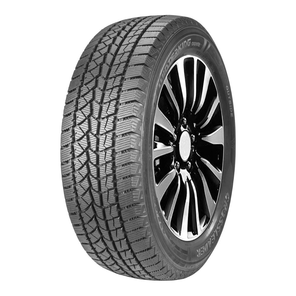 Зимние шины DoubleStar DW02 225/60 R17 99T в Москве от 7320  руб.